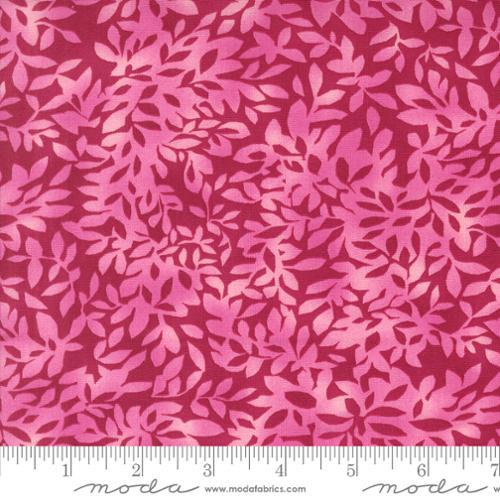 [174631] Superbloom 48787 21 Orchid