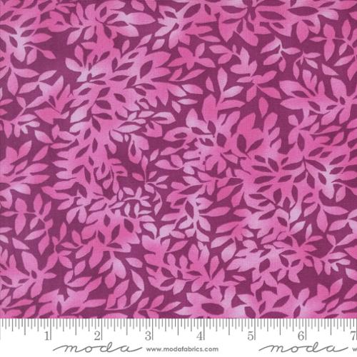 [174633] Superbloom 48787 12 Dahlia