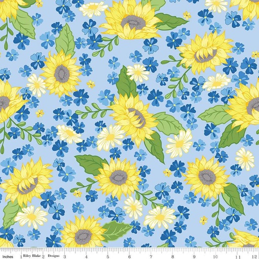 [174684] Sunny Skies Main C14630-Sky