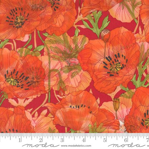 [174702] Superbloom 48781 23 Geranium