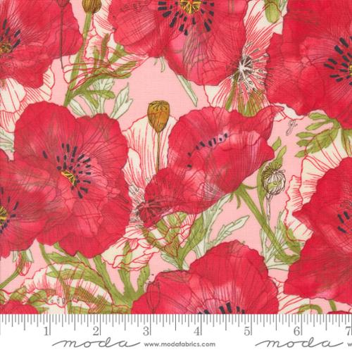 [174703] Superbloom 48781 19 Carnation