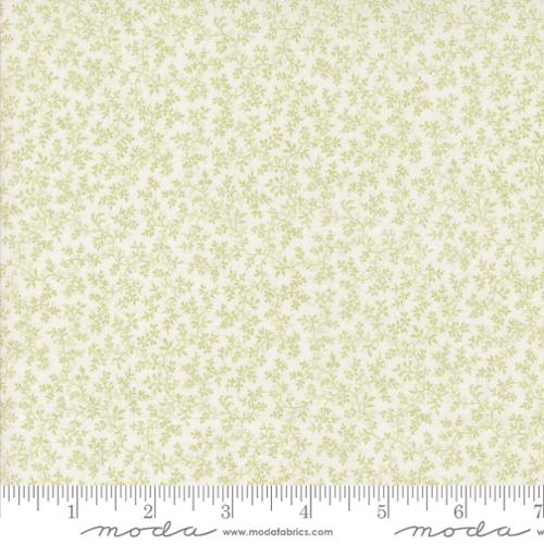 [175003] 3 Sisters Meadow Greens 44363 31 Cream Basil