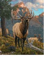 [175176] Majestic in Nature Grand Elk Panel PD15980
