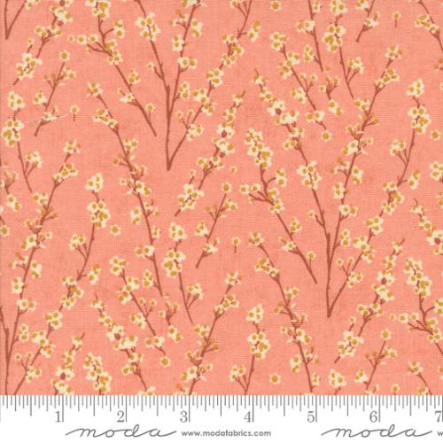 [175295] Moda Fabrics Acorn Hollow 30765 17 Apple