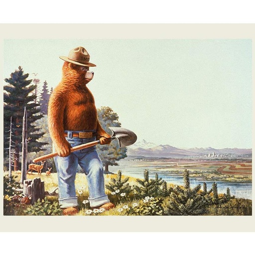 [175437] Friends of Smokey Bear PD16507-Panel