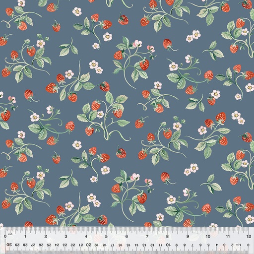 [168724] Windham Fabrics Robin 53842 7