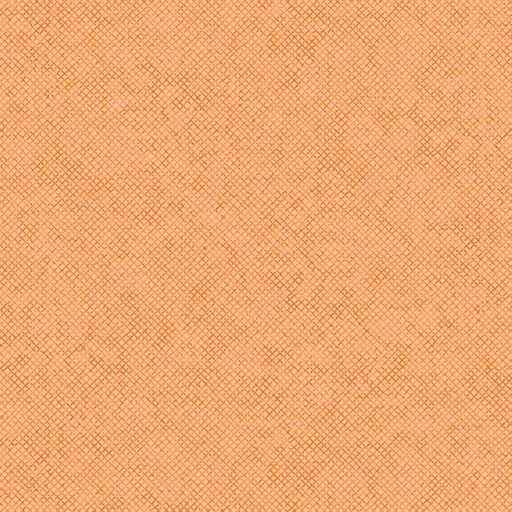 [164819] Benartex Whisper Weave by Nancy Halvorsen 13610 34 Apricot