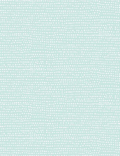 [170519] Dear Stella Moonscape Stella 1150 Mint