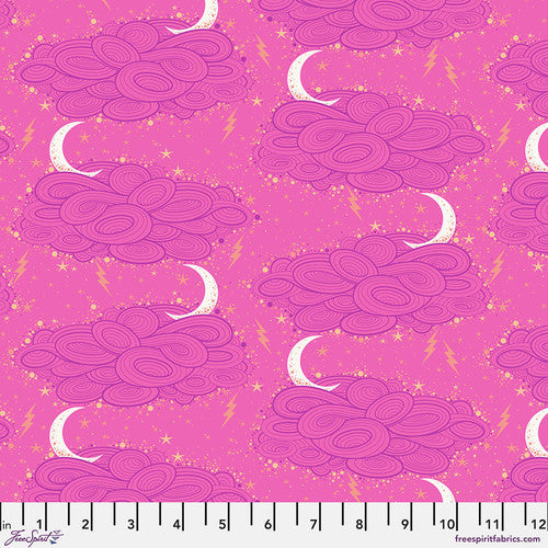 [168071] FreeSpirit Fabrics Nightshade by Tula Pink Storm Clouds 208 Oleander