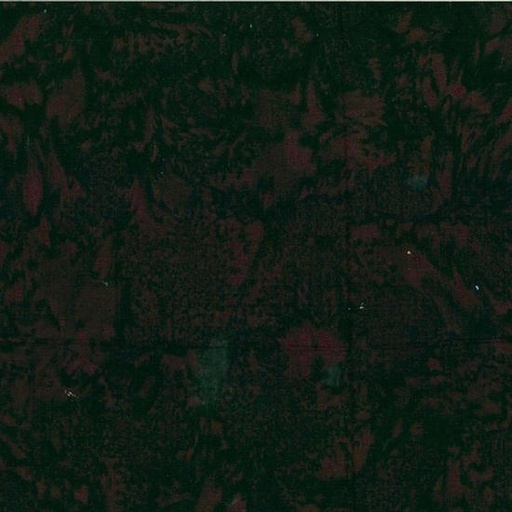[156362] 1895 Watercolors Batik 1895-696 Bear