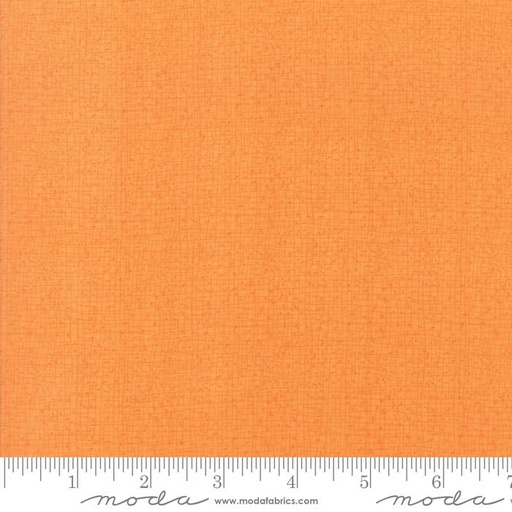 [154176] Moda Fabrics Thatched by Robin Pickens 48626 103 Apricot